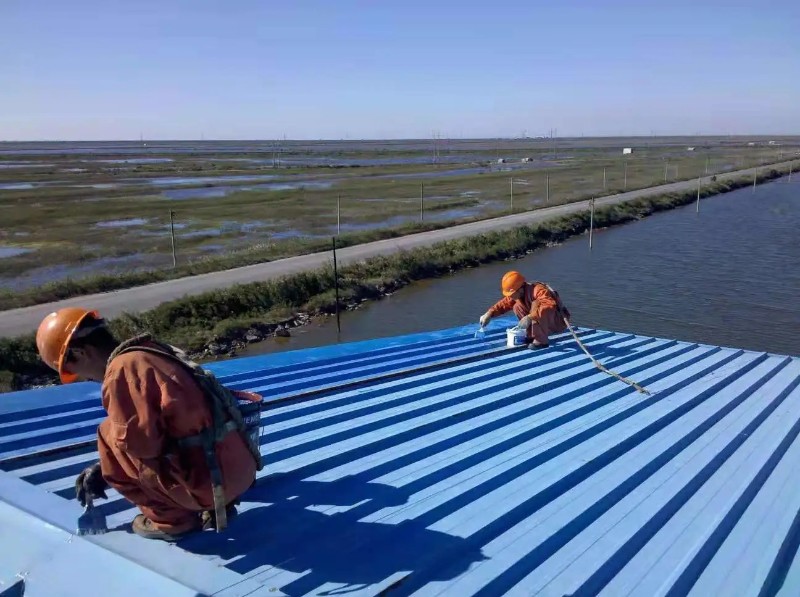 寿宁钢结构屋面漏水原因